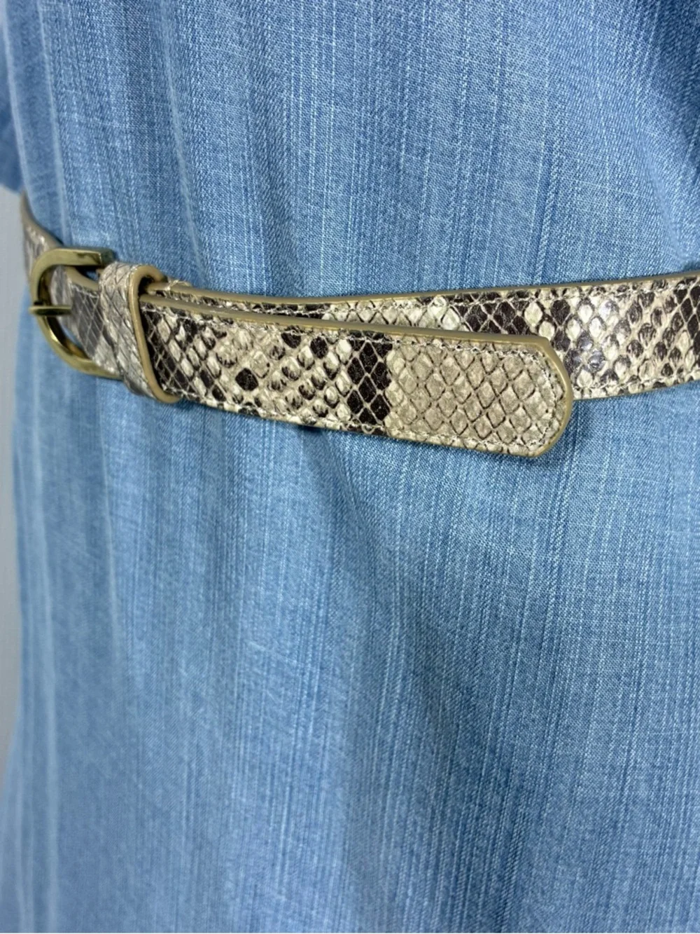 Talbots women’s belt Sz S Leather snake print